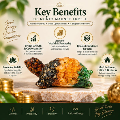 Money Magnet Dhan Yog Turtle